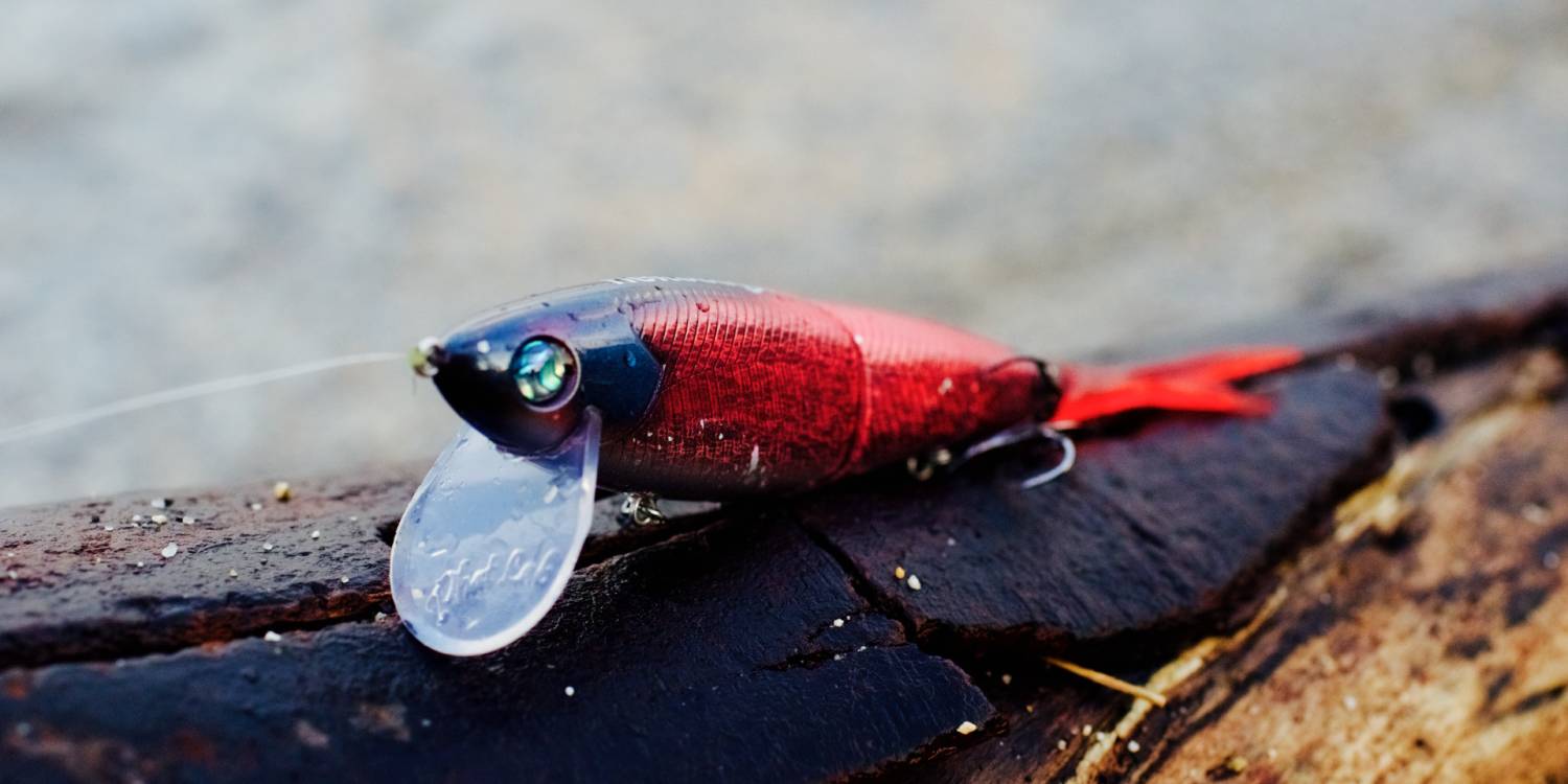 Europe Tackle Distribution - Abbigliamento da pesca streetwear, Black Bass, Bass Fishing