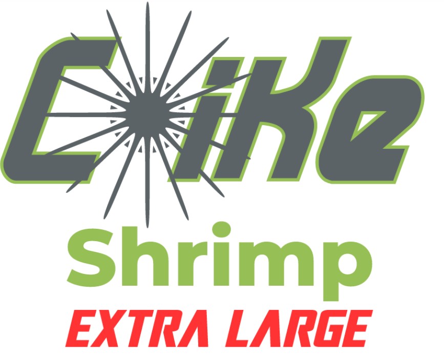 COIKE SHRIMP XL - Body 67mm - 15gr - 3pcs